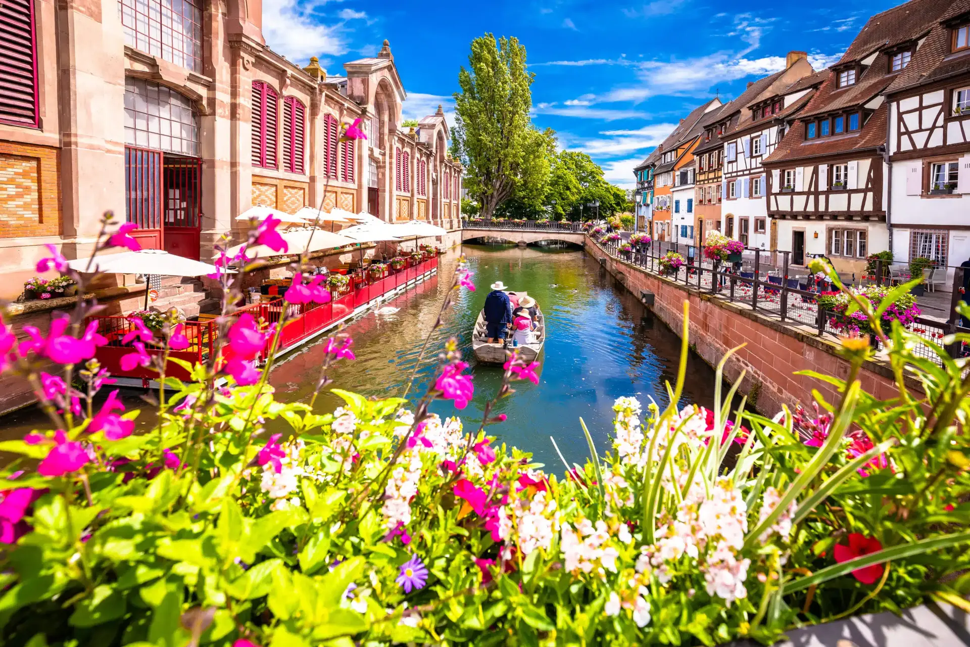 Alsace