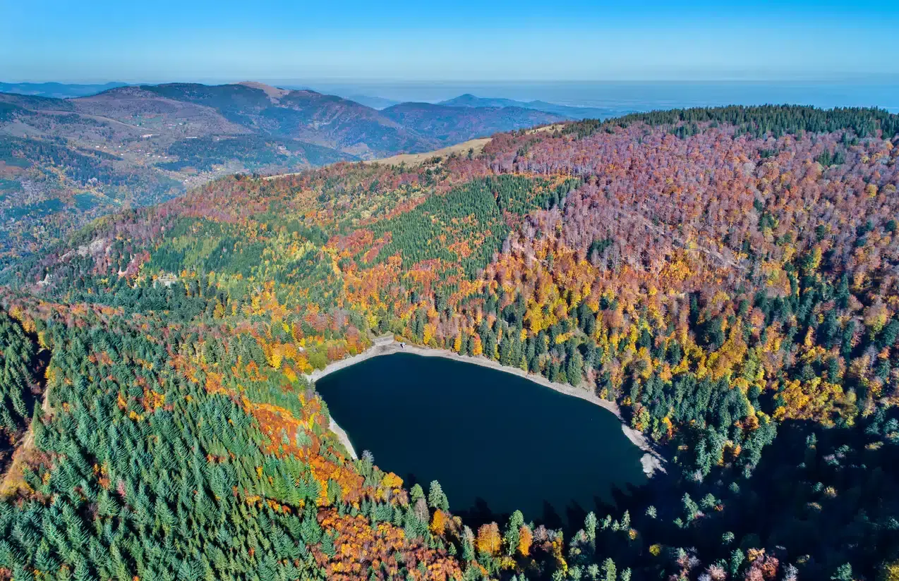 Vosges