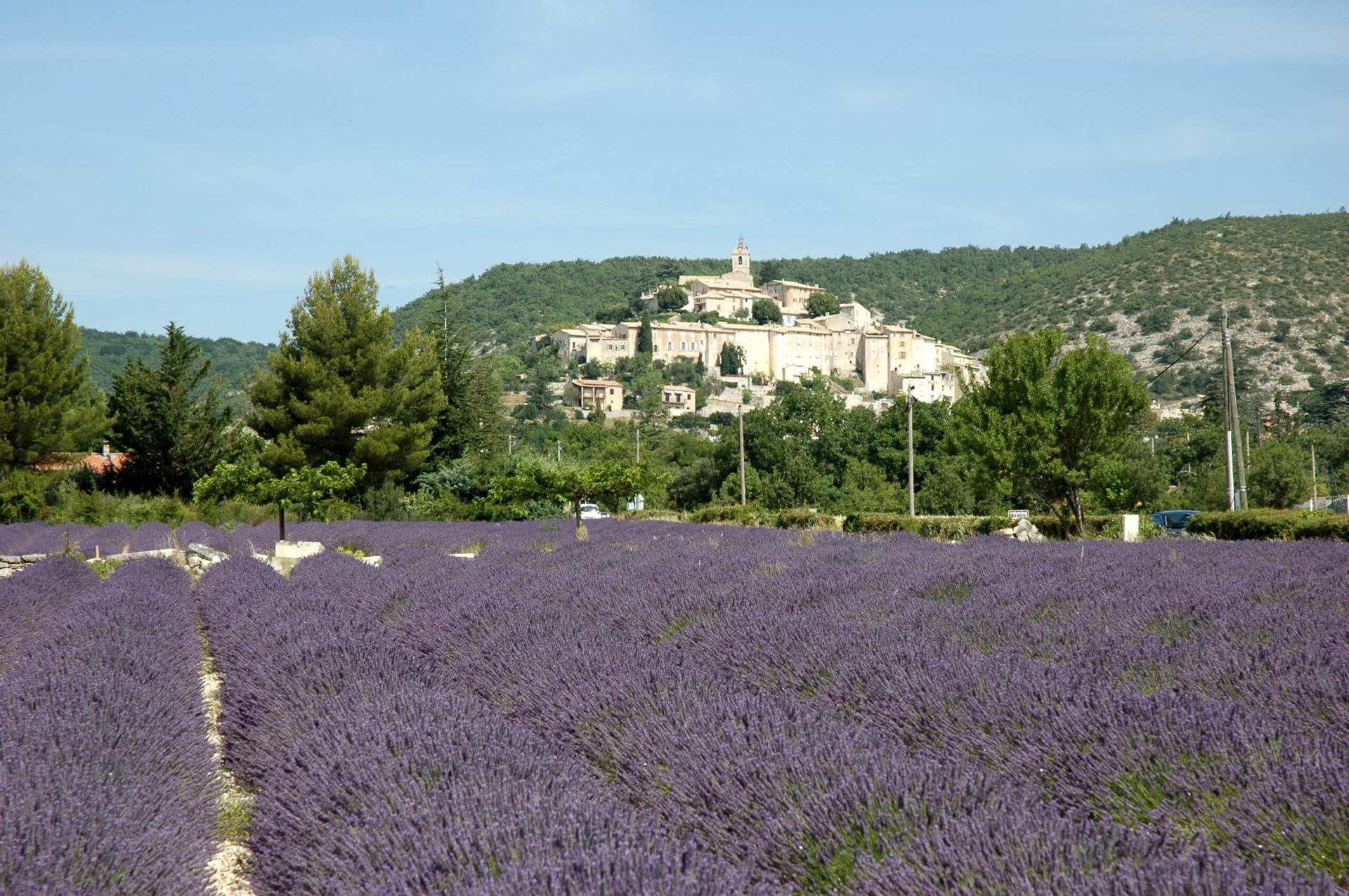 Photo de l'hôtel