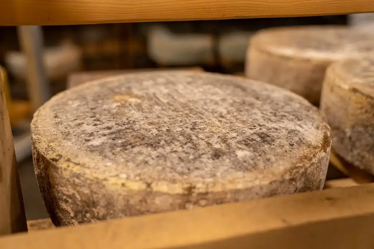 Terroir et gastronomie normande