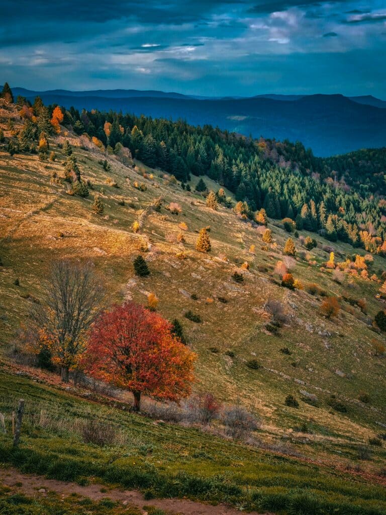 Les Vosges en automne Les Vosges en automne